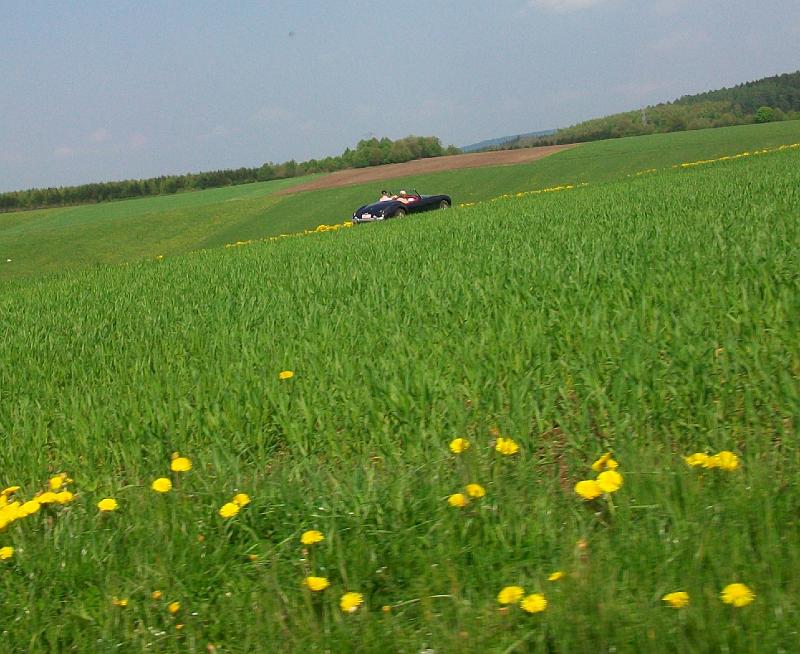 puur natuur.JPG